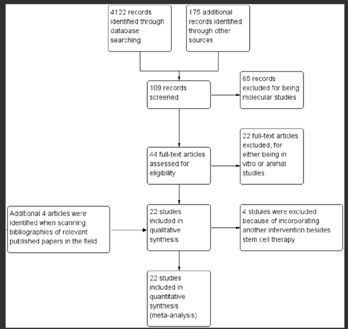 圖1.顯示記錄識別、篩選和研究納入過程的流程圖。