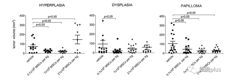 3?低劑量全身施用同種異體間充質(zhì)干細(xì)胞預(yù)防腫瘤生長