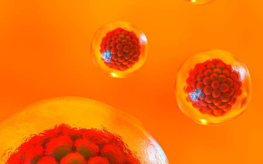 干細胞療法能持續多久？