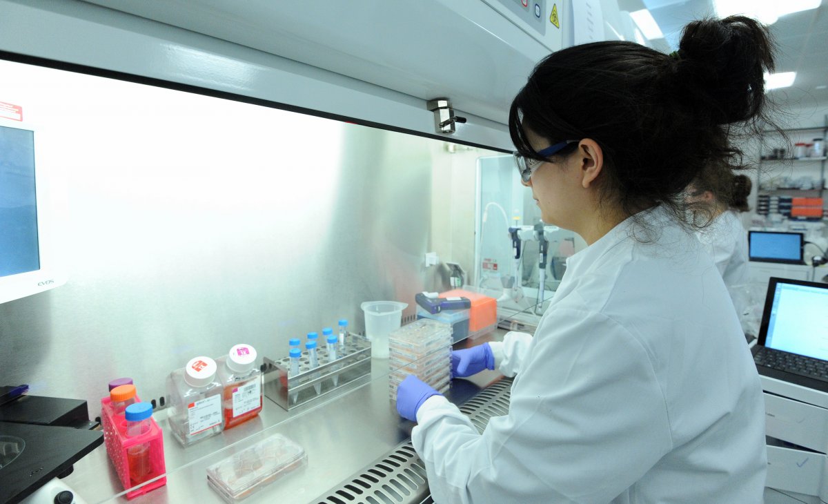一位科學家正在研究誘導多能干細胞。圖片來源：Genome Research Limited
