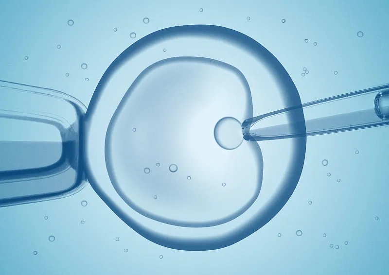 什么是干細胞移植和骨髓移植？