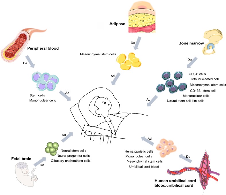 圖1:用于治療腦癱的干細(xì)胞類型 圖1:用于治療腦癱的干細(xì)胞類型