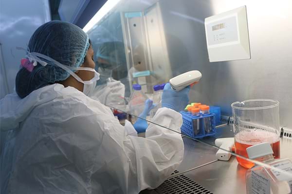 干細胞移植的具體程序