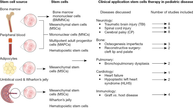 圖1：干細胞的來源和干細胞治療的臨床應用。