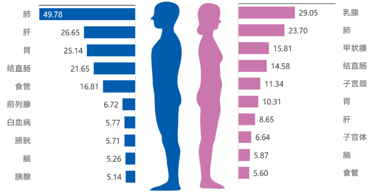 中山大學腫瘤防治中心揭示:免疫細胞治療,助最高發的5大癌癥患者重獲新生! 中山大學腫瘤防治中心揭示:免疫細胞治療,助最高發的5大癌癥患者重獲新生!