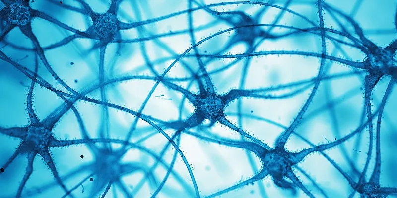 什么是神經(jīng)細胞?為什么它們很重要? 什么是神經(jīng)細胞?為什么它們很重要?