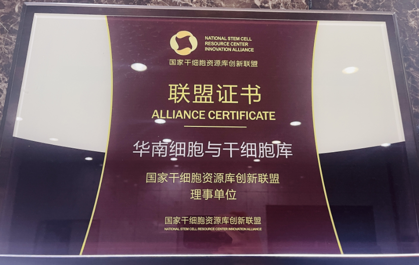 國家干細胞資源庫創(chuàng)新聯(lián)盟,干細胞與再生醫(yī)學協(xié)同創(chuàng)新平臺增至14家單位 國家干細胞資源庫創(chuàng)新聯(lián)盟,干細胞與再生醫(yī)學協(xié)同創(chuàng)新平臺增至14家單位