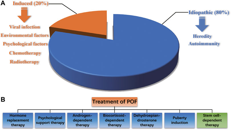 圖1卵巢早衰的致病因素及治療方案 圖1卵巢早衰的致病因素及治療方案