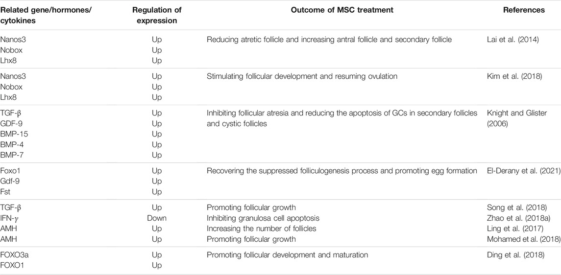 表2間充質干細胞對卵泡發育的影響 表2間充質干細胞對卵泡發育的影響