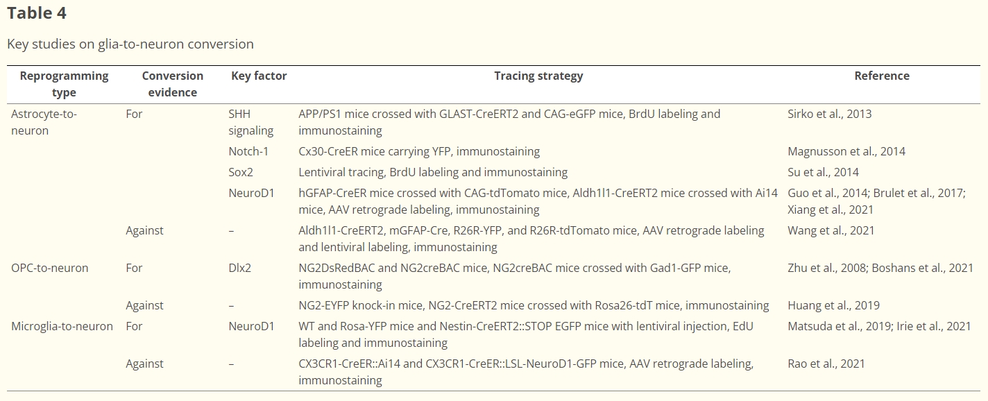 表4:膠質細胞到神經元轉化的重點研究 表4:膠質細胞到神經元轉化的重點研究