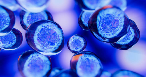 人間充質干細胞藥物的開發及臨床應用