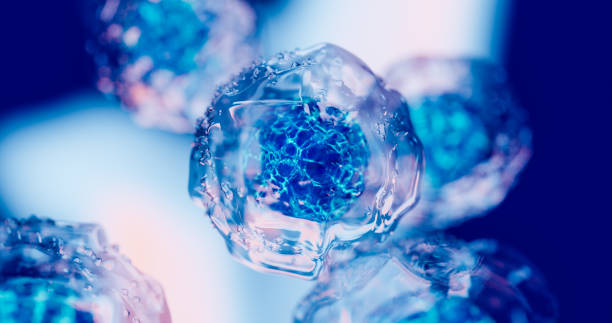 2024年重磅更新：藥監(jiān)局公布間充質(zhì)干細(xì)胞新藥，適應(yīng)治療的46種疾病名單！