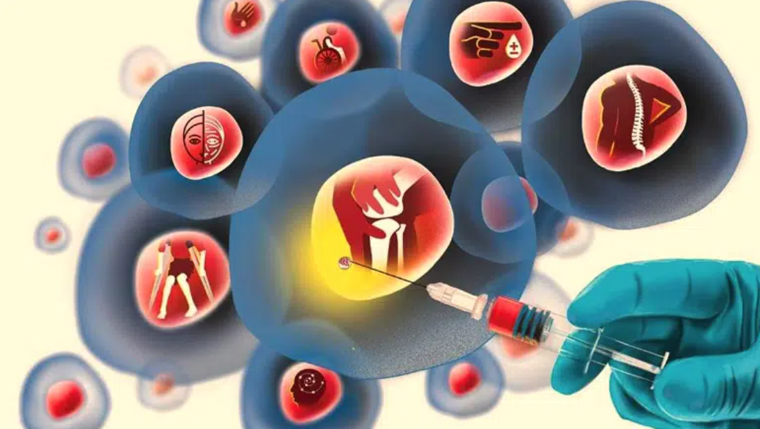 干細胞與再生醫(yī)學(xué)