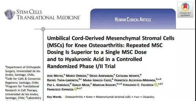 臍帶間充質基質細胞 (MSC) 治療膝骨關節(jié)炎:在一項隨機對照 I/II 期試驗中,重復 MsC 給藥優(yōu)于單次 MsC 給藥和透明質酸 臍帶間充質基質細胞 (MSC) 治療膝骨關節(jié)炎:在一項隨機對照 I/II 期試驗中,重復 MsC 給藥優(yōu)于單次 MsC 給藥和透明質酸