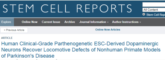人類臨床級孤雌生殖 ESC 衍生的多巴胺能神經元可恢復非人類靈長類動物帕金森病模型的運動缺陷 人類臨床級孤雌生殖 ESC 衍生的多巴胺能神經元可恢復非人類靈長類動物帕金森病模型的運動缺陷