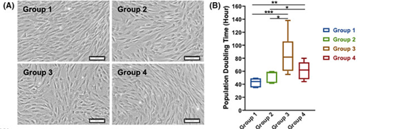 健康組(第1組)和2型糖尿病患者的自體骨髓來(lái)源間充質(zhì)干細(xì)胞(BM-MSCs)的表征對(duì)比 健康組(第1組)和2型糖尿病患者的自體骨髓來(lái)源間充質(zhì)干細(xì)胞(BM-MSCs)的表征對(duì)比