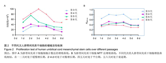 不同代次人臍帶間充質(zhì)于細(xì)胞的增殖活性檢測(cè) 不同代次人臍帶間充質(zhì)于細(xì)胞的增殖活性檢測(cè)