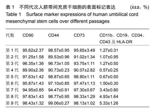 不同代次人臍帶間充質(zhì)干細(xì)胞的表面標(biāo)記表達(dá) 不同代次人臍帶間充質(zhì)干細(xì)胞的表面標(biāo)記表達(dá)