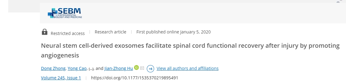 神經(jīng)干細(xì)胞衍生的外泌體通過促進(jìn)血管生成促進(jìn)損傷后脊髓功能恢復(fù) 神經(jīng)干細(xì)胞衍生的外泌體通過促進(jìn)血管生成促進(jìn)損傷后脊髓功能恢復(fù)