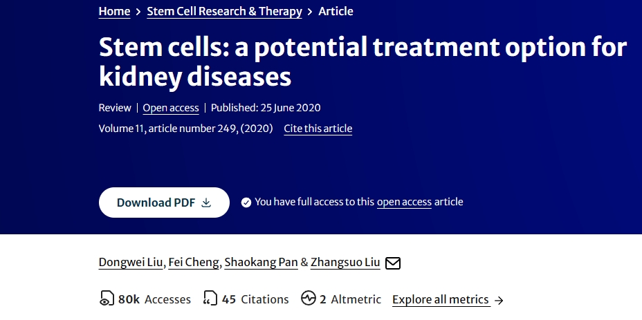 干細(xì)胞：腎臟疾病的潛在治療選擇