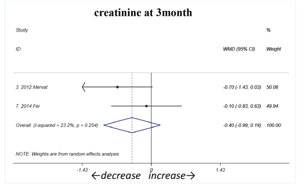 ；3個月時（如圖C2所示）