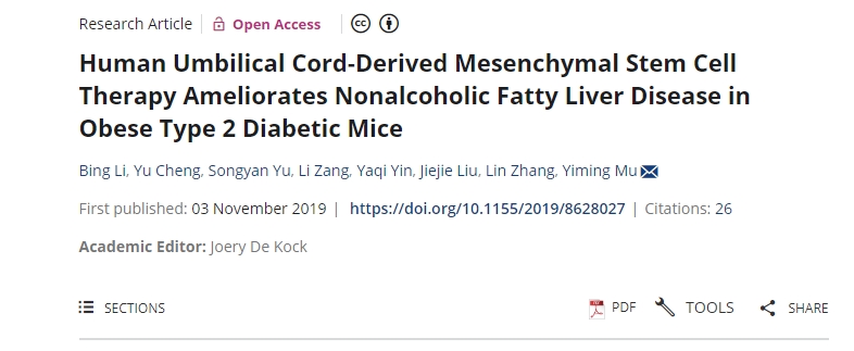 人臍帶間充質(zhì)干細胞療法可改善肥胖2型糖尿病小鼠的非酒精性脂肪肝疾病 人臍帶間充質(zhì)干細胞療法可改善肥胖2型糖尿病小鼠的非酒精性脂肪肝疾病