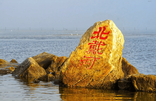 院士領銜,細胞療法“駛入”北戴河!療養勝地開啟醫療創新新篇章 院士領銜,細胞療法“駛入”北戴河!療養勝地開啟醫療創新新篇章