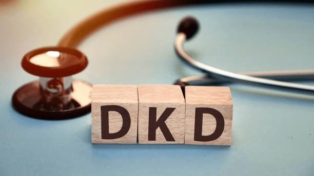 4類間充質(zhì)干細胞及其衍生的外泌體在糖尿病腎病中的作用 4類間充質(zhì)干細胞及其衍生的外泌體在糖尿病腎病中的作用