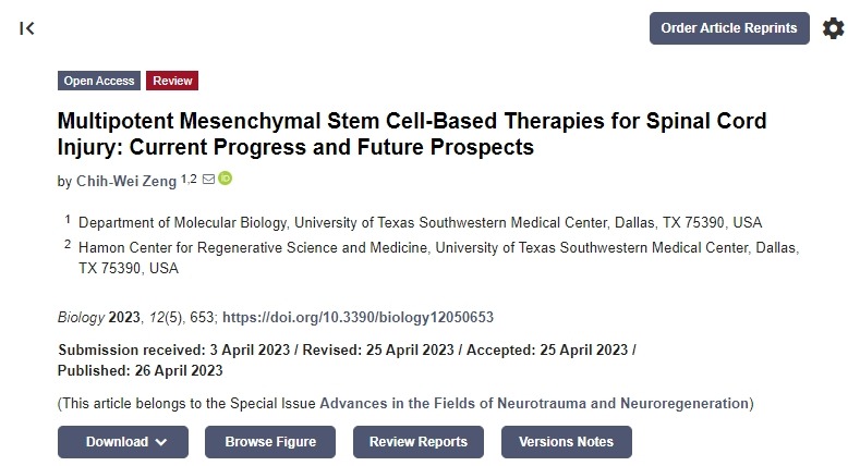 間充質干細胞治療脊髓損傷：目前的進展和未來的前景