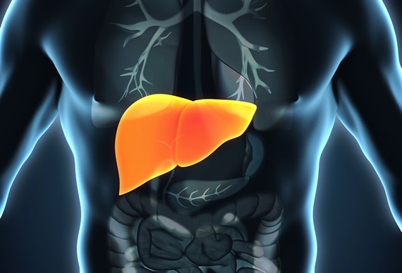 肝衰竭如何治療？干細胞治療為什么會成為修復肝衰竭的新途徑？