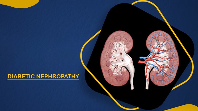 干細(xì)胞治療糖尿病腎病的安全性怎么樣?盤點(diǎn)國內(nèi)外臨床進(jìn)展! 干細(xì)胞治療糖尿病腎病的安全性怎么樣?盤點(diǎn)國內(nèi)外臨床進(jìn)展!
