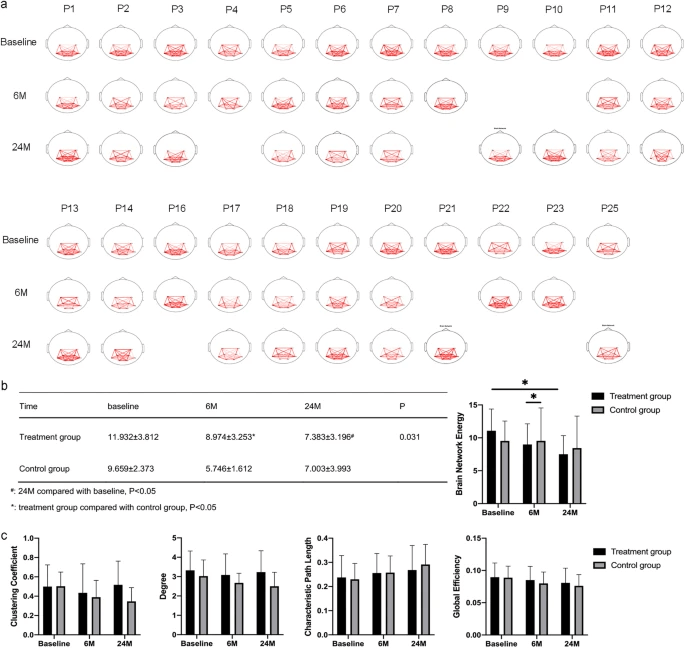 圖3:腦功能網絡分析 圖3:腦功能網絡分析