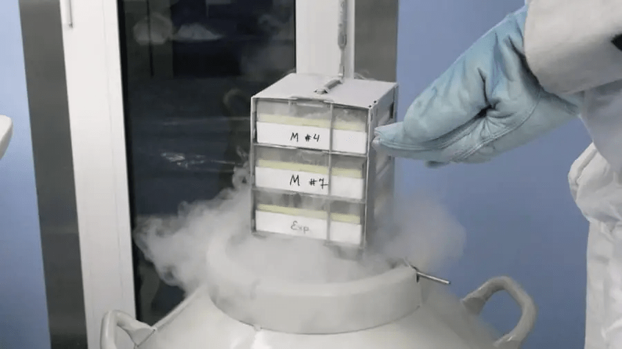 從實驗室到臨床:干細胞機構是如何生產高質量干細胞的?