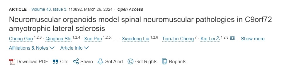 神經(jīng)肌肉類(lèi)器官模擬 C9orf72肌萎縮側(cè)索硬化癥中的脊髓神經(jīng)肌肉病理 神經(jīng)肌肉類(lèi)器官模擬 C9orf72肌萎縮側(cè)索硬化癥中的脊髓神經(jīng)肌肉病理