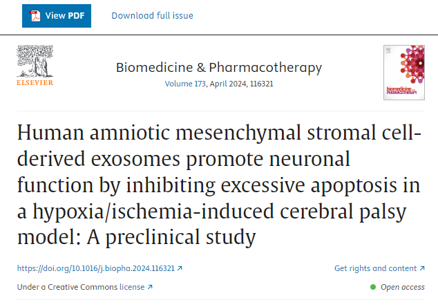 人羊膜間充質干細胞來源的外泌體通過抑制缺氧/缺血誘導的腦癱模型中的過度細胞凋亡來促進神經元功能:一項臨床前研究 人羊膜間充質干細胞來源的外泌體通過抑制缺氧/缺血誘導的腦癱模型中的過度細胞凋亡來促進神經元功能:一項臨床前研究