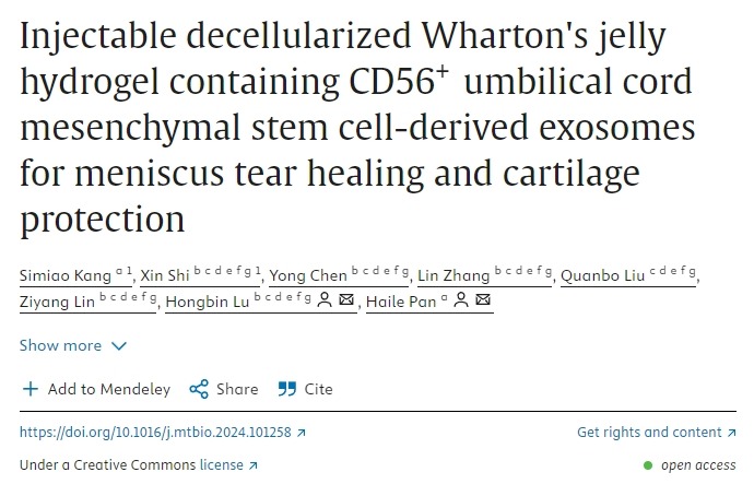 含有CD56+臍帶間充質干細胞衍生外泌體的可注射脫細胞華通氏膠水凝膠用于半月板撕裂愈合和軟骨保護 含有CD56+臍帶間充質干細胞衍生外泌體的可注射脫細胞華通氏膠水凝膠用于半月板撕裂愈合和軟骨保護