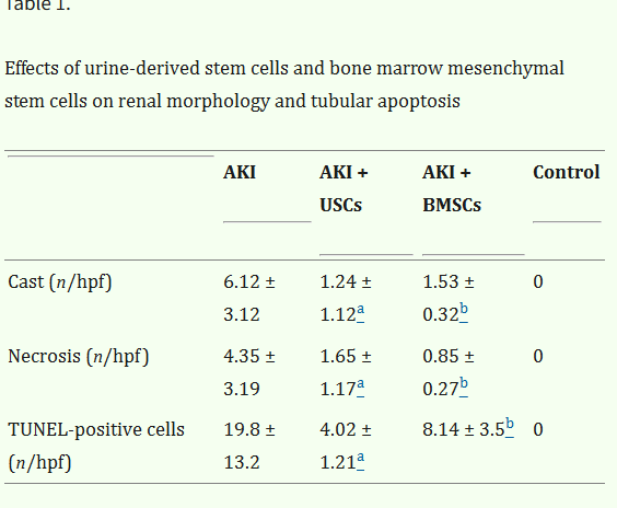 表1:尿源干細胞與骨髓間充質干細胞對腎臟形態及腎小管凋亡的影響