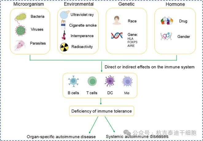 圖1:自身免疫性疾病的致病因素 圖1:自身免疫性疾病的致病因素