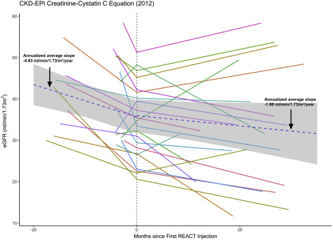 圖1：eGFR（肌酐和胱抑素 C，2012CKD-EPI）對SRC注射的反應(yīng)。