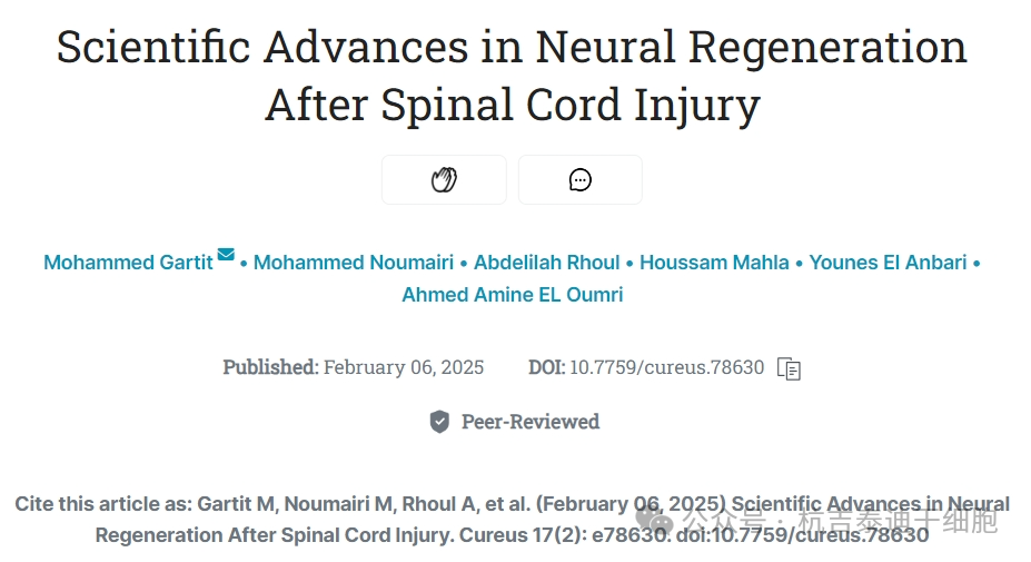 脊髓損傷后神經再生的科學進展 脊髓損傷后神經再生的科學進展