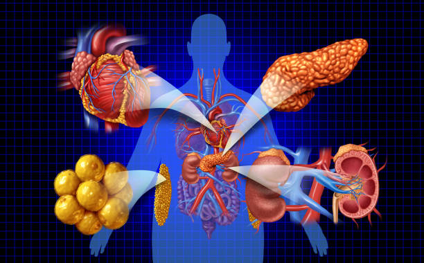 新視角:優(yōu)化間充質干細胞治療糖尿病腎病療效的方式有哪些? 新視角:優(yōu)化間充質干細胞治療糖尿病腎病療效的方式有哪些?