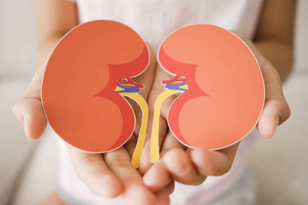 間充質(zhì)干細(xì)胞治療腎臟疾?。赫娴陌踩珕?？