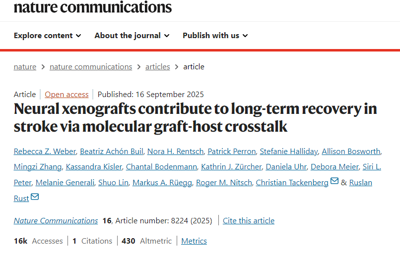 神經(jīng)異種移植通過分子移植物-宿主相互作用促進(jìn)中風(fēng)后的長期康復(fù) 神經(jīng)異種移植通過分子移植物-宿主相互作用促進(jìn)中風(fēng)后的長期康復(fù)