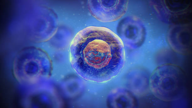 間充質干細胞一針多少錢?2025年價格全景圖與避坑指南 間充質干細胞一針多少錢?2025年價格全景圖與避坑指南