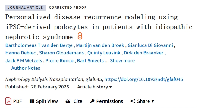 使用 iPSC 衍生的足細(xì)胞對特發(fā)性腎病綜合征患者進(jìn)行個(gè)性化疾病復(fù)發(fā)建模