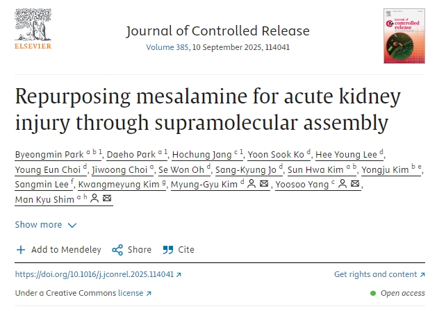 通過超分子組裝將美沙拉嗪重新用于治療急性腎損傷 通過超分子組裝將美沙拉嗪重新用于治療急性腎損傷
