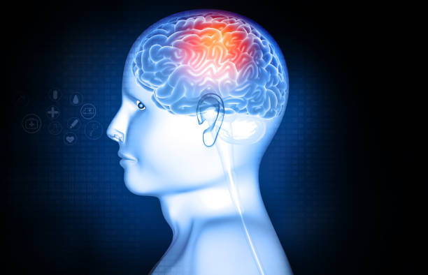 細(xì)胞療法治療創(chuàng)傷腦損傷:機(jī)制、臨床突破與未來展望 細(xì)胞療法治療創(chuàng)傷腦損傷:機(jī)制、臨床突破與未來展望